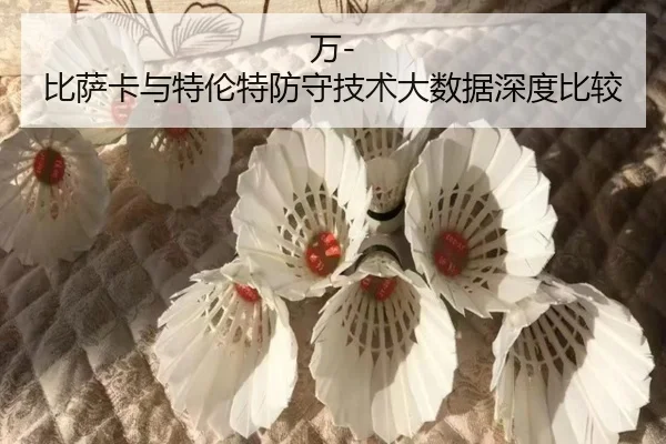 万-比萨卡与特伦特防守技术大数据深度比较